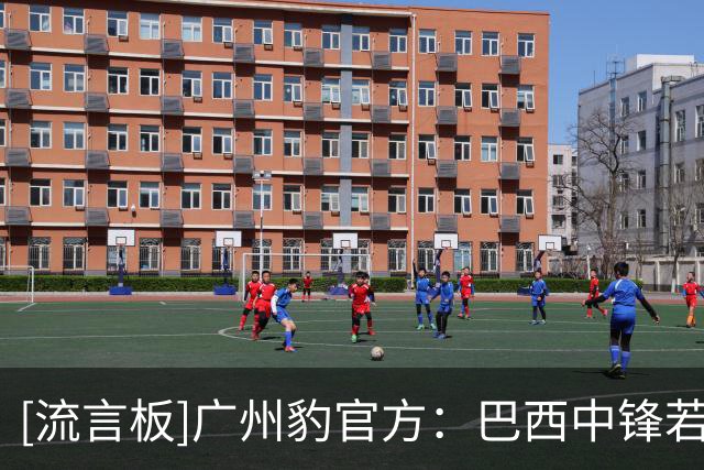 [流言板]广州豹官方：巴西中锋若昂-卡洛斯重返加盟广州豹